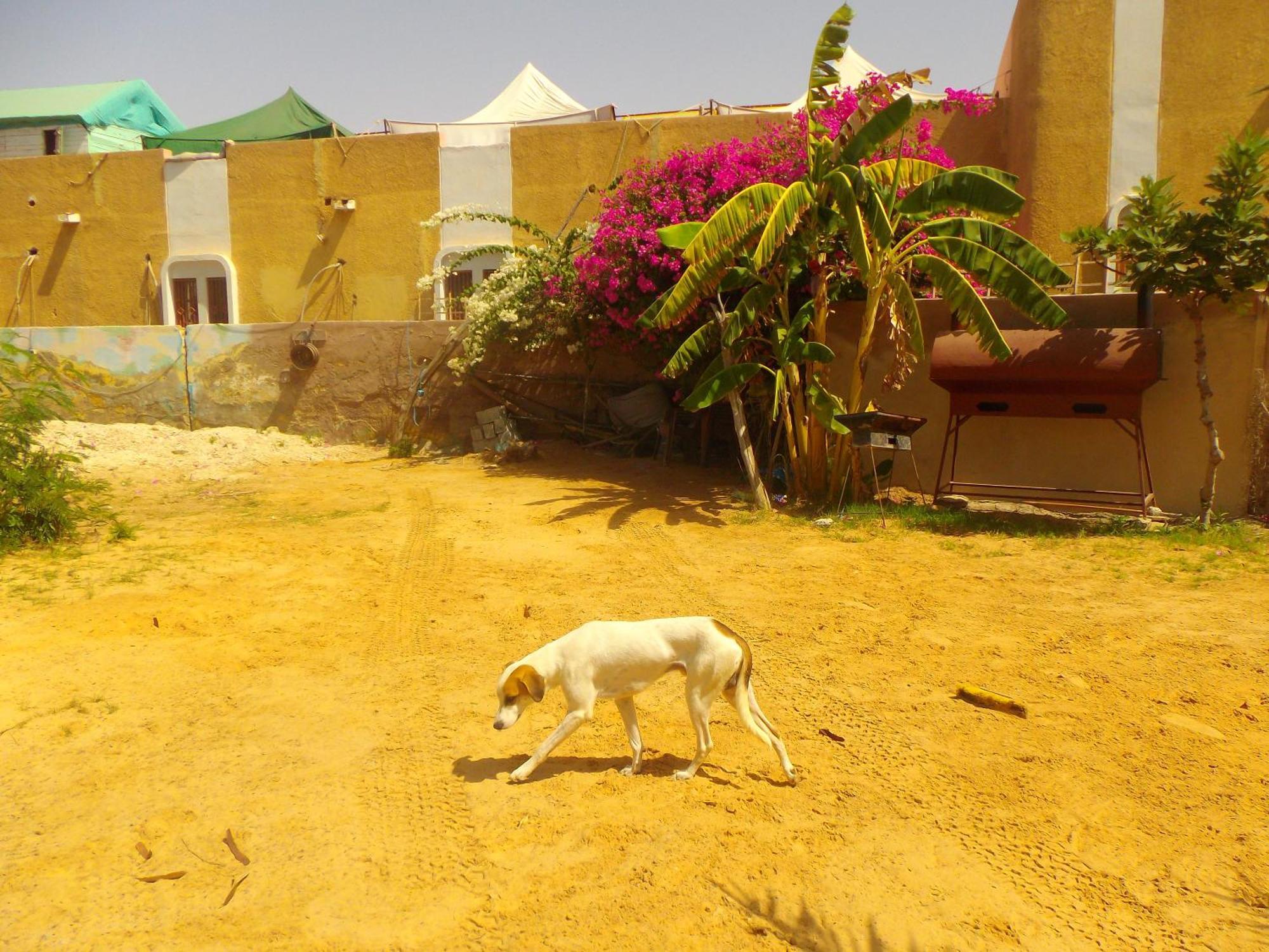 Auberge Triskell Nouakchott Dış mekan fotoğraf